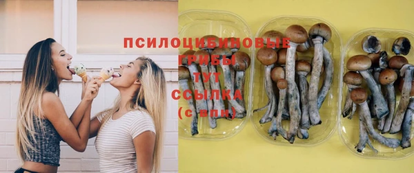гидропоника Балахна