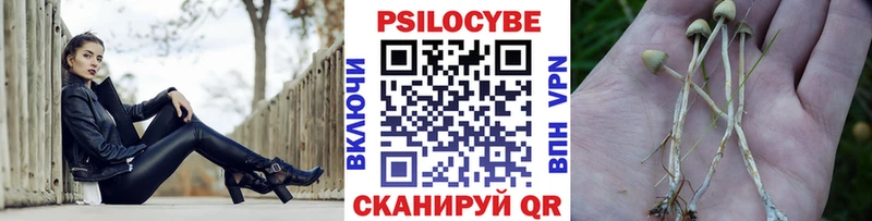 это Telegram  Радужный  Псилоцибиновые грибы GOLDEN TEACHER  закладка 