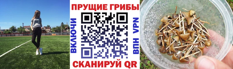 Псилоцибиновые грибы Magic Shrooms Радужный
